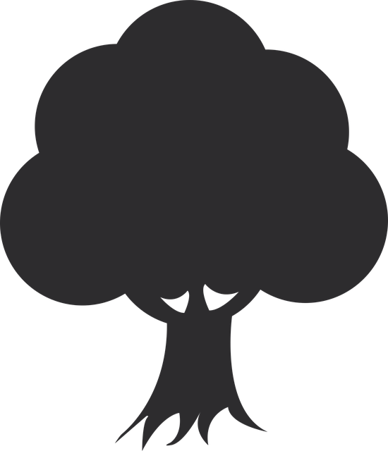 이미지68