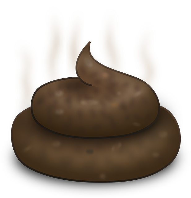 이미지95