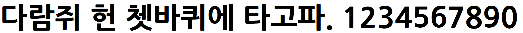 NanumGothicExtraBold