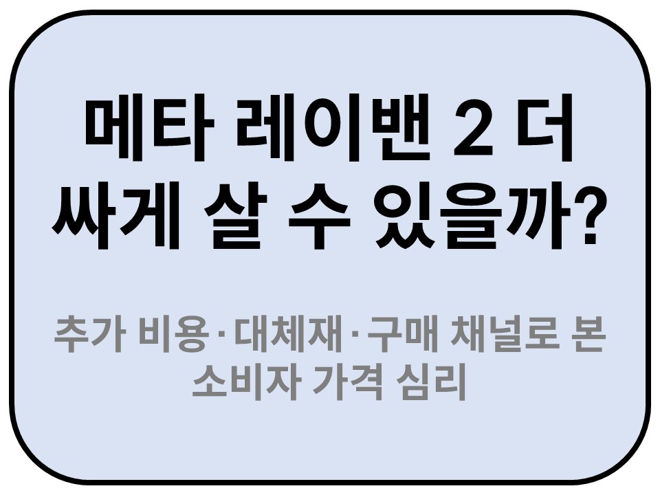 Intro. 메타 레이벤2 가격기준 댓글분석 소개글